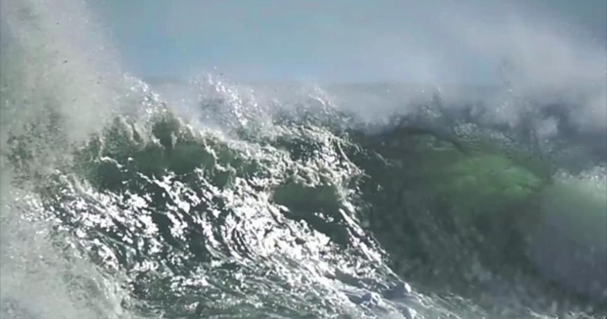 Coup de vent et tempête : quelles différences ?