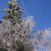 Le Brugeron 17/01/2019