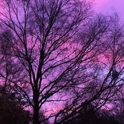 Tréglamus 17/01/2019