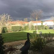 Maubourguet 17/01/2019