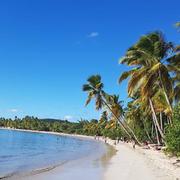 Sainte-Anne 17/01/2019