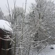 Sainte-Menehould 20/01/2019