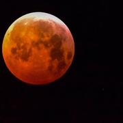 Le Gâvre 21/01/2019