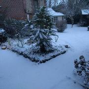 Bacqueville 22/01/2019