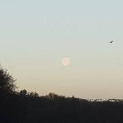 Saint-Malo-de-Beignon 22/01/2019