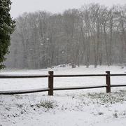 Montfort-l'Amaury 22/01/2019