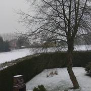 La Crique 22/01/2019