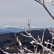 Le Brugeron 22/01/2019