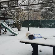 Bazancourt 22/01/2019