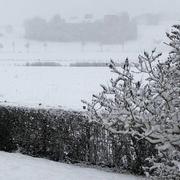 Luthenay-Uxeloup 22/01/2019