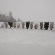 Lusigny-sur-Barse 22/01/2019