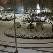 Grande-Synthe 23/01/2019