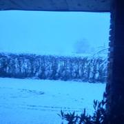 Ménetreuil 23/01/2019