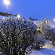 Achicourt 23/01/2019