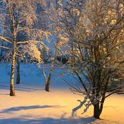 Creney-près-Troyes 23/01/2019