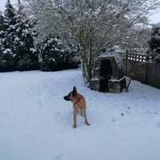 Thun-l'Évêque 23/01/2019