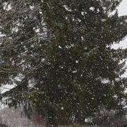 Pont-sur-Yonne 23/01/2019