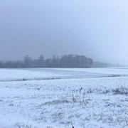 Saint-Pol-sur-Ternoise 23/01/2019