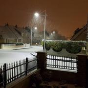 Grand-Fort-Philippe 23/01/2019