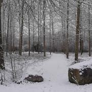 Écourt-Saint-Quentin 23/01/2019