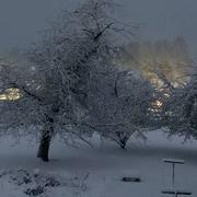 Bignicourt-sur-Saulx 23/01/2019