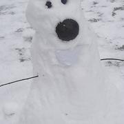 Bouzonville 23/01/2019