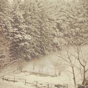 Lafeuillade-en-Vézie 23/01/2019