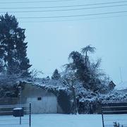 Landrecies 23/01/2019