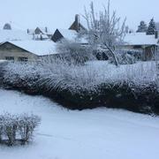 Beaucamps-le-Vieux 23/01/2019