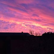 Saint-André-des-Eaux 24/01/2019