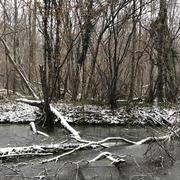Noisy-sur-École 24/01/2019