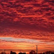 Sainte-Anne-sur-Brivet 24/01/2019