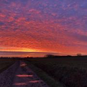 Langourla 25/01/2019