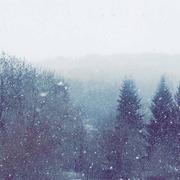 Les Ternes 28/01/2019