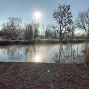 Ville-sous-la-Ferté 28/01/2019