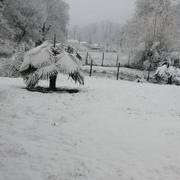 Asprières 28/01/2019