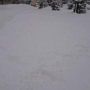 Saillagouse 28/01/2019