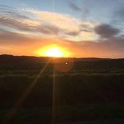 Thoiré-sur-Dinan 29/01/2019