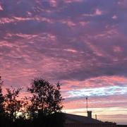 Longeville-sur-Mer 29/01/2019