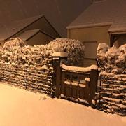 Achicourt 30/01/2019