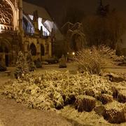 Les Andelys 30/01/2019