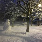 Châlons-en-Champagne 30/01/2019