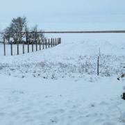 Herleville 30/01/2019