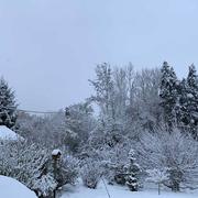 Villereau 30/01/2019