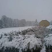 Le Fréty 30/01/2019