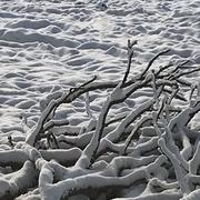 Moustier-en-Fagne 30/01/2019