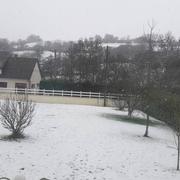 Camembert 30/01/2019