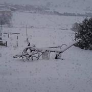 Thonne-le-Thil 30/01/2019