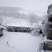 Le Breuil 31/01/2019