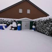 Avril 31/01/2019